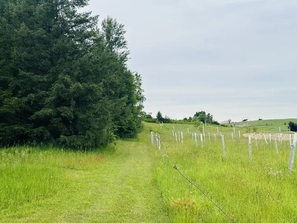 5372 Milarch Road Manistee Township MI 49660