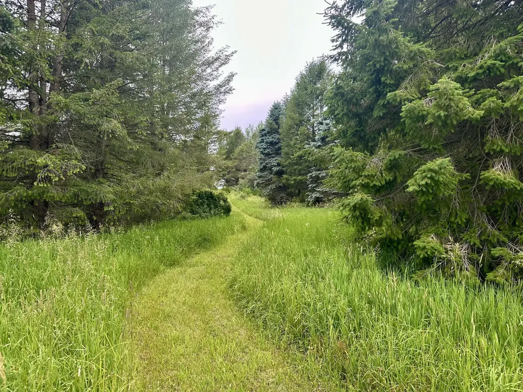 5372 Milarch Road Manistee Township MI 49660