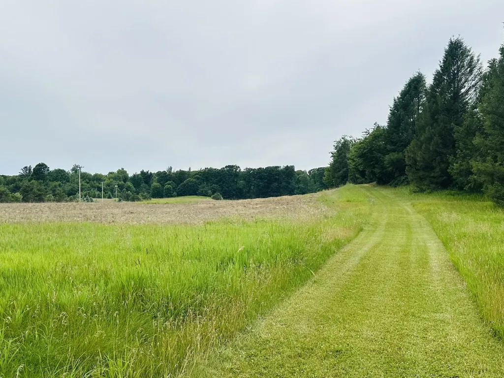 5372 Milarch Road Manistee Township MI 49660