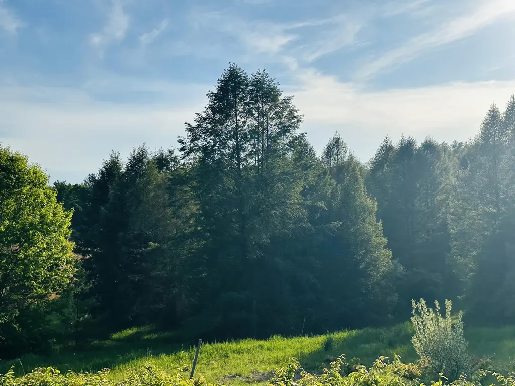 5372 Milarch Road Manistee Township MI 49660