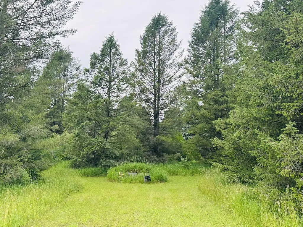 5372 Milarch Road Manistee Township MI 49660