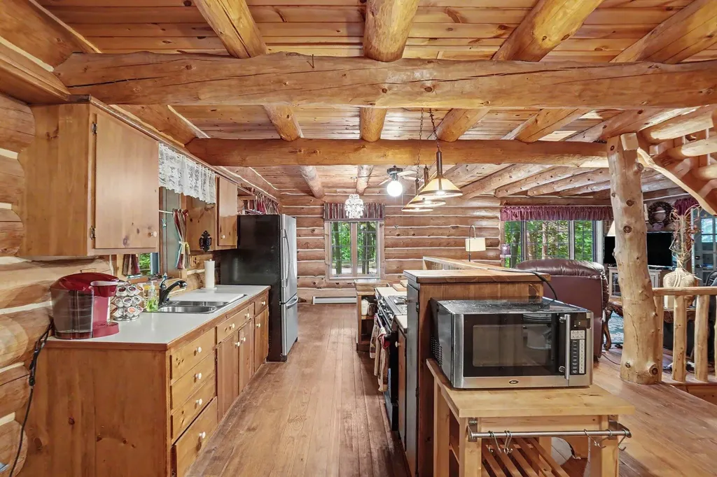 1091 N River Trail Lincoln Township MI 49349