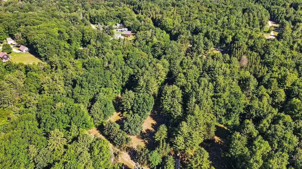 1091 N River Trail Lincoln Township MI 49349