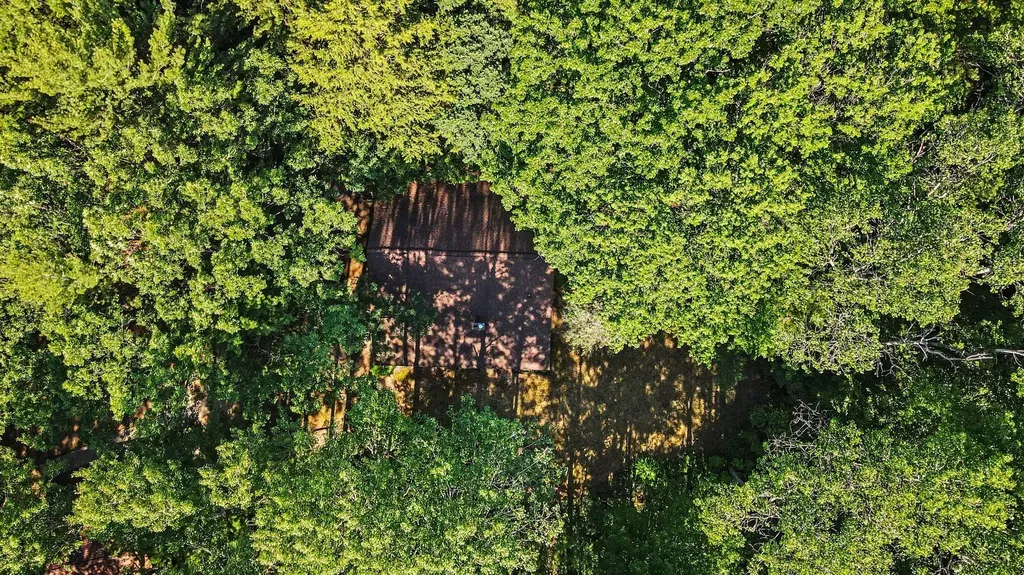 1091 N River Trail Lincoln Township MI 49349
