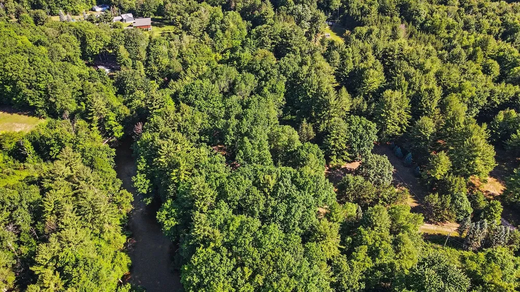 1091 N River Trail Lincoln Township MI 49349