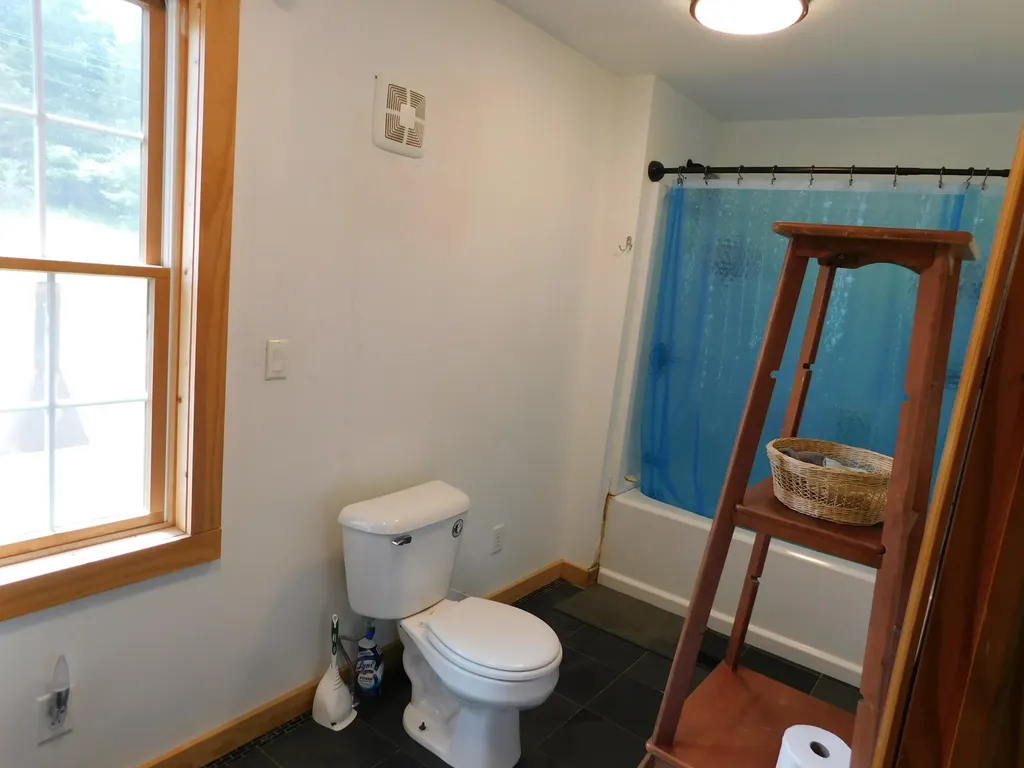 11518 Chippewa Highway Bear Lake Township MI 49614