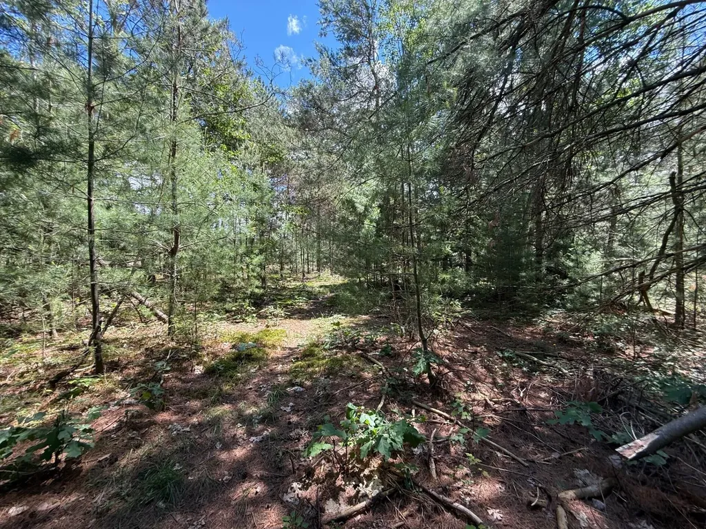 9748 N Us-31 Unknown City MI 49411