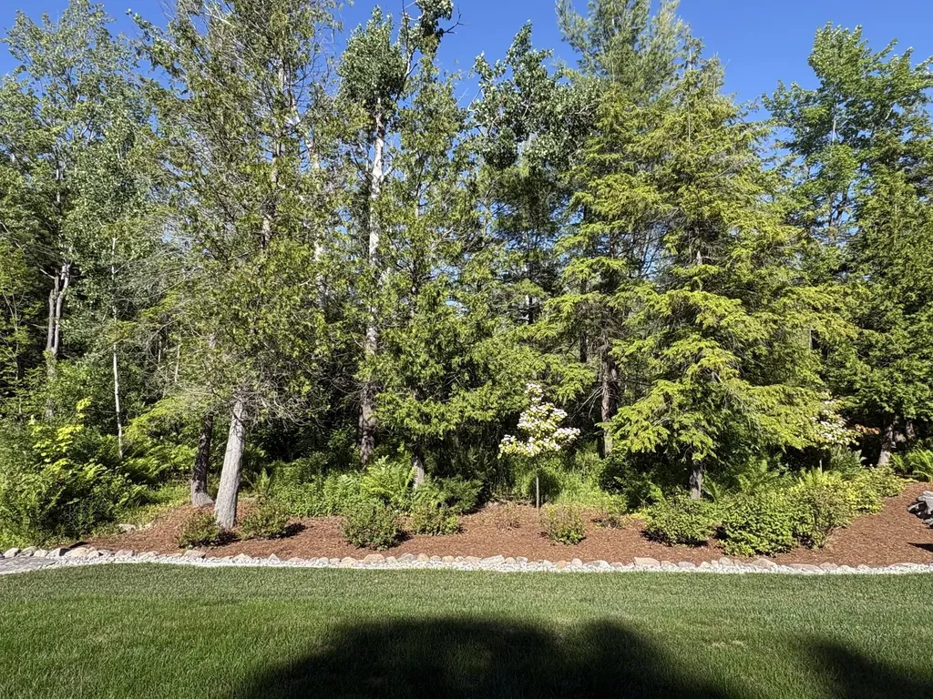 13453 Lakeside Avenue Pleasanton Township MI 49614