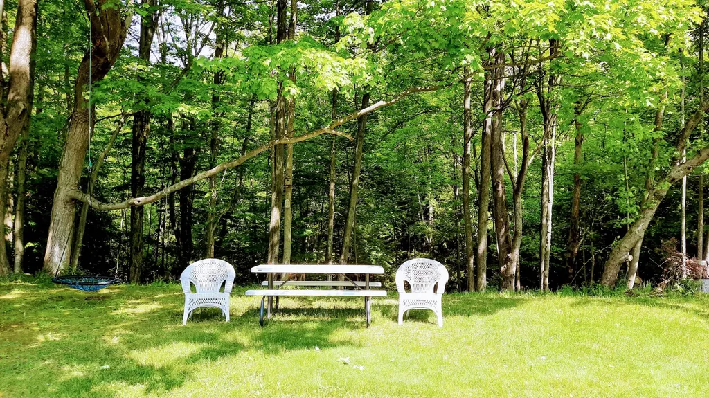 8424 3rd Street Onekama Village MI 49675