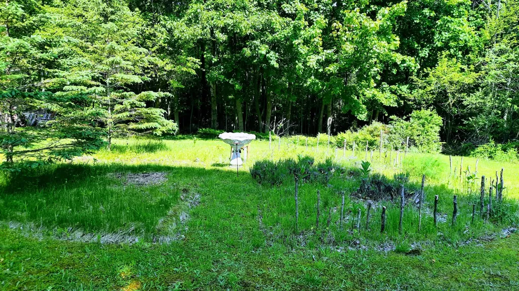 8424 3rd Street Onekama Village MI 49675