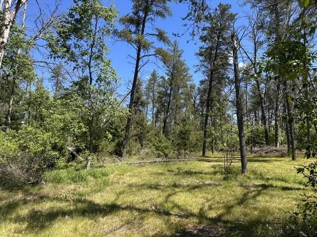 164 W 10 Mile Eden Township MI 49644