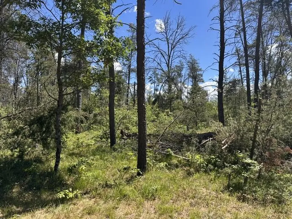 164 W 10 Mile Eden Township MI 49644