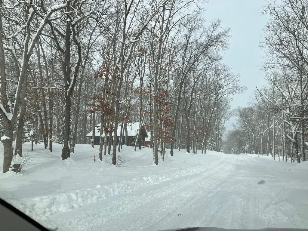 653 N Jack Pine Road Branch Township MI 49410