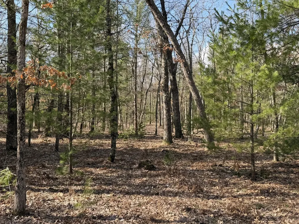 7363 Riverside Drive Meade Township MI 49660