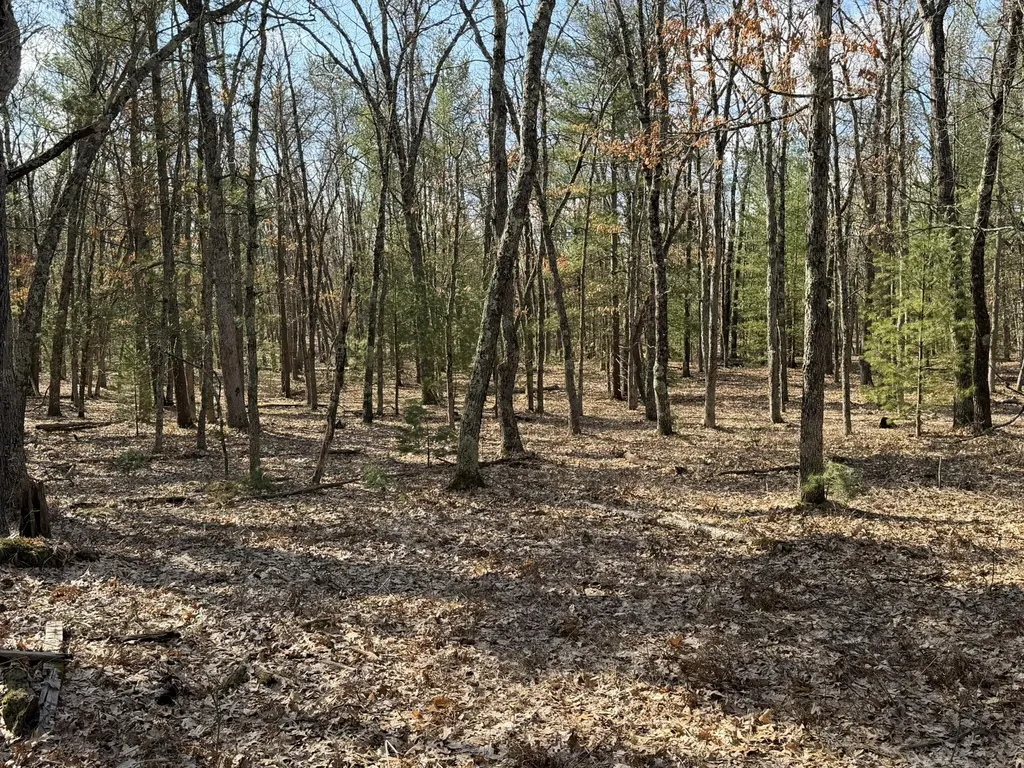 7363 Riverside Drive Meade Township MI 49660