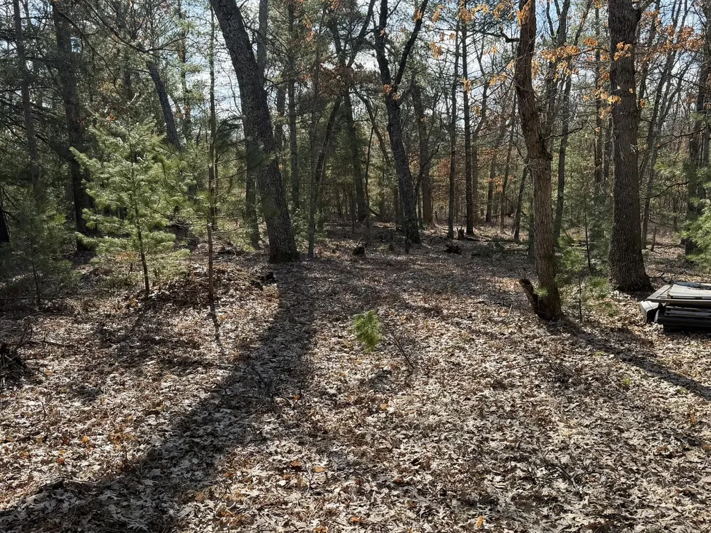 7363 Riverside Drive Meade Township MI 49660