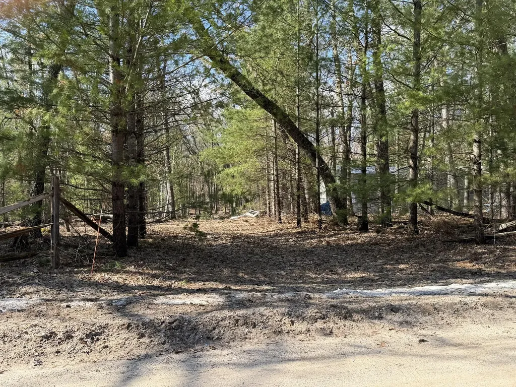 7363 Riverside Drive Meade Township MI 49660