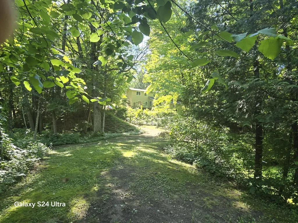 7455 Mcclellan Road Maple Grove Township MI 49645