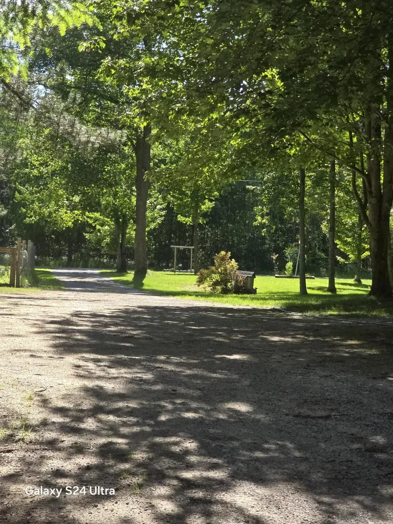 7455 Mcclellan Road Maple Grove Township MI 49645