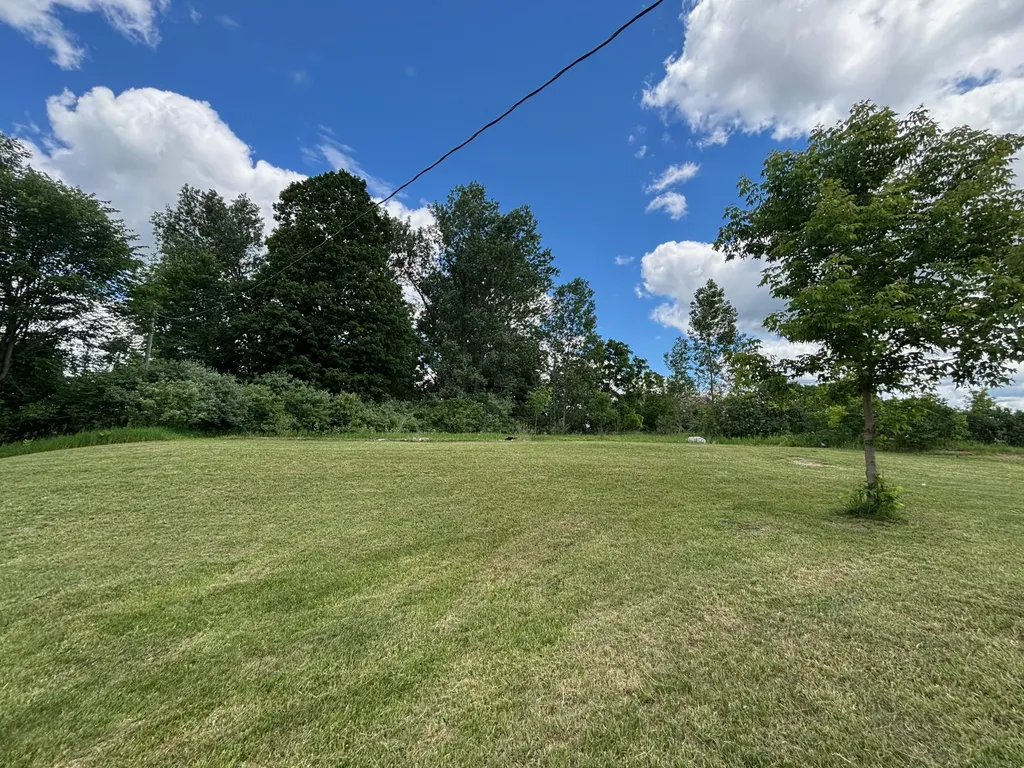 124 S Menes Street Walkerville Village MI 49459