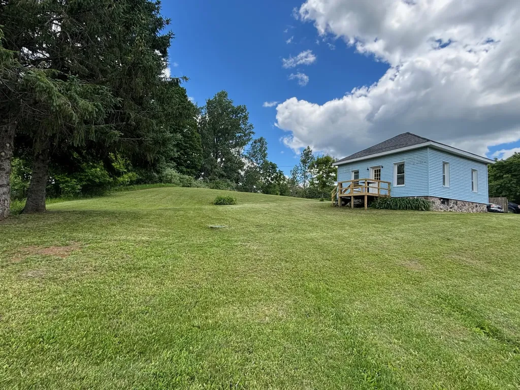 124 S Menes Street Walkerville Village MI 49459