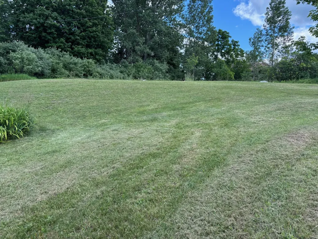 124 S Menes Street Walkerville Village MI 49459