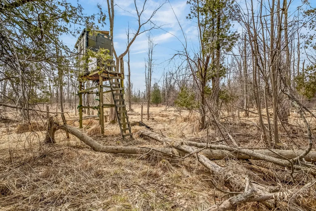 875 E Jackson Road Crystal Township MI 49420