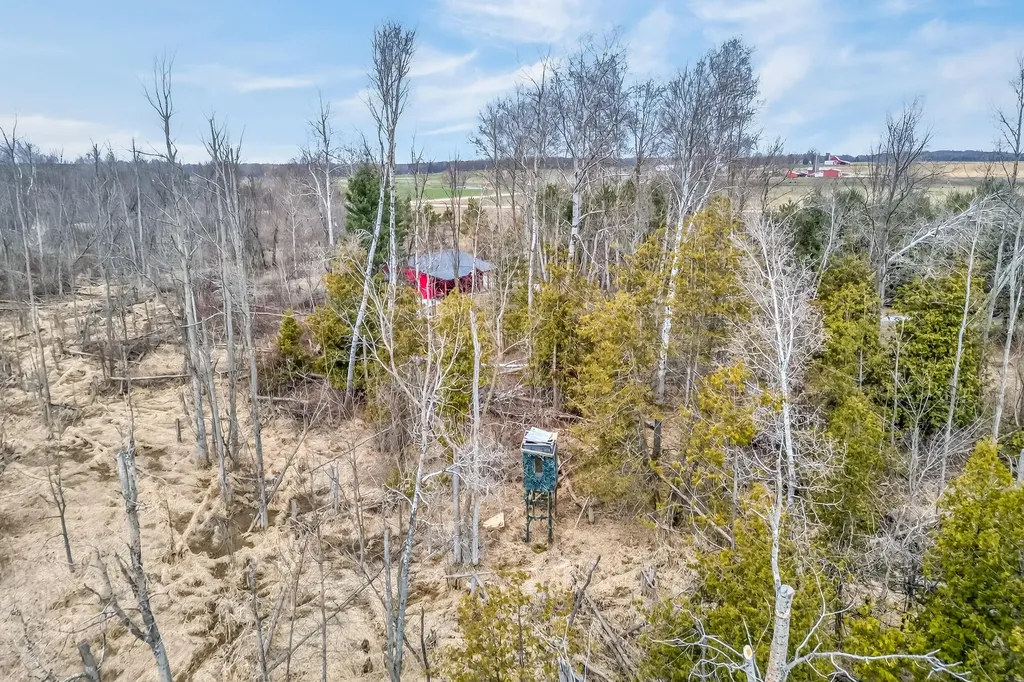 875 E Jackson Road Crystal Township MI 49420