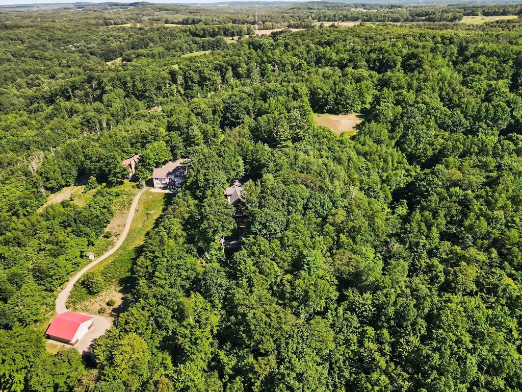 8584 W Woodridge Drive Golden Township MI 49436