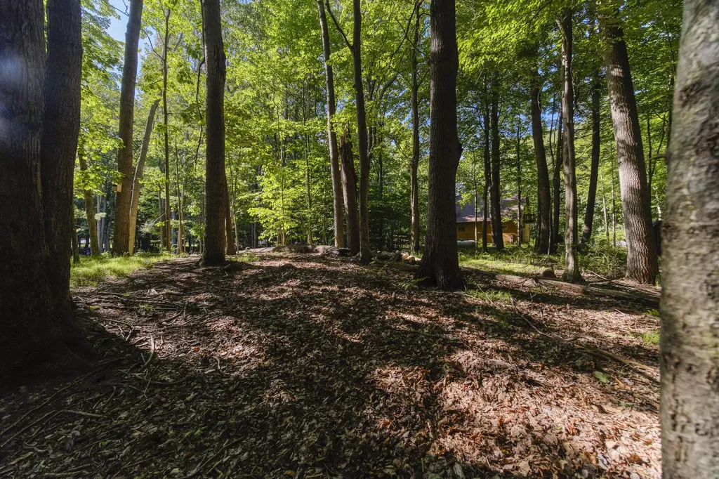 10826 Old Freesoil Road N Grant Township MI 49660