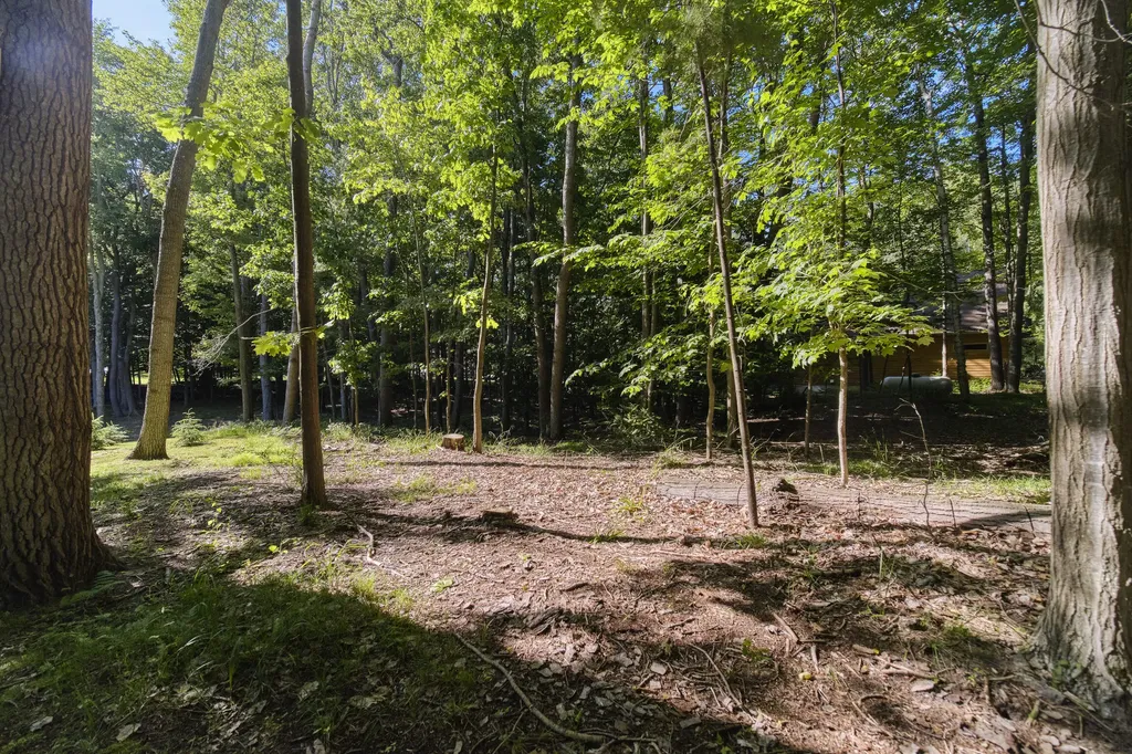10826 Old Freesoil Road N Grant Township MI 49660
