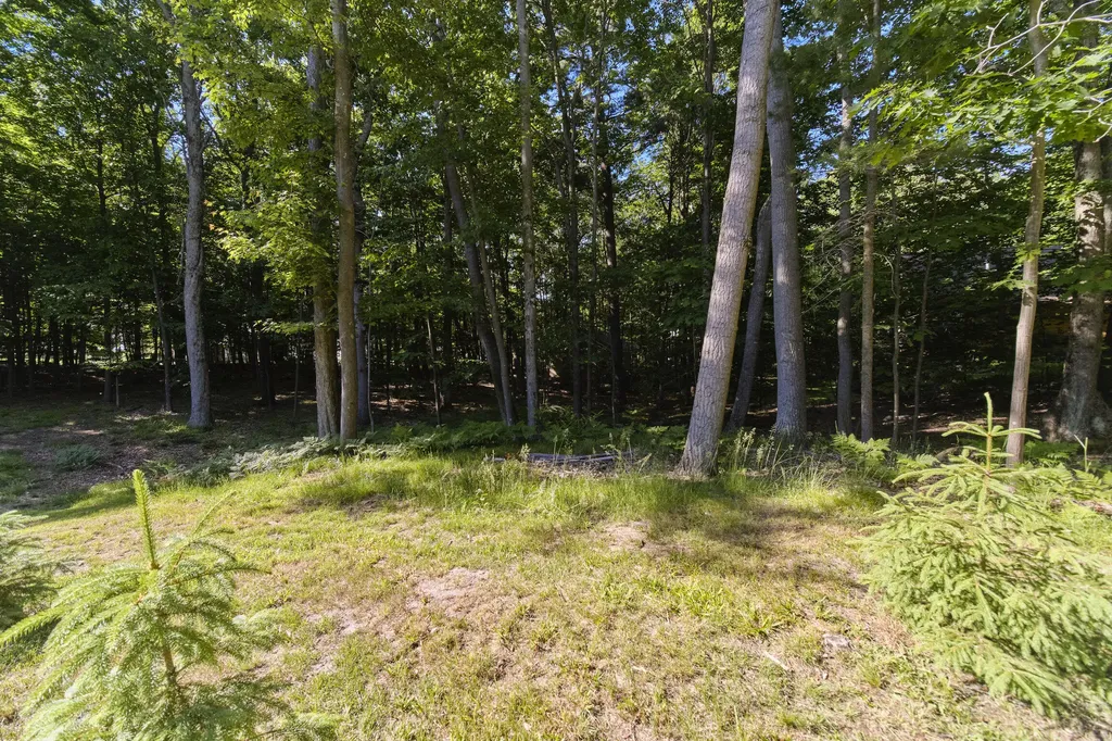 10826 Old Freesoil Road N Grant Township MI 49660