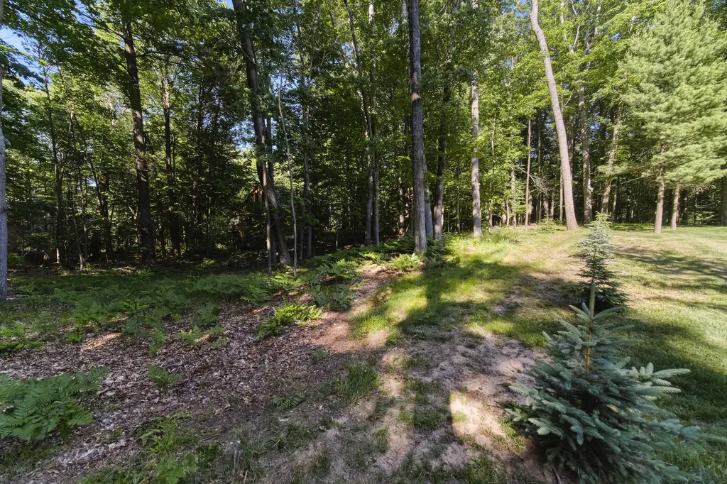 10826 Old Freesoil Road N Grant Township MI 49660