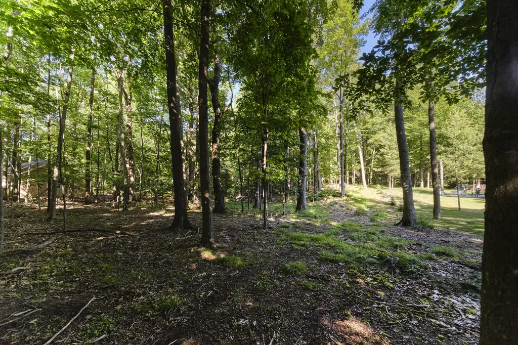 10826 Old Freesoil Road N Grant Township MI 49660