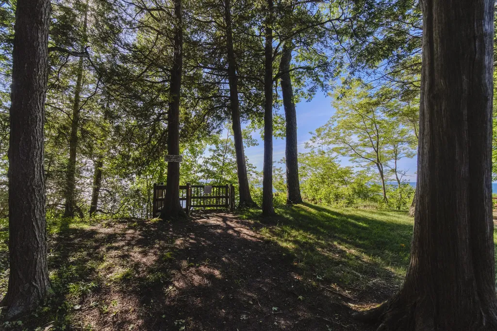 10826 Old Freesoil Road N Grant Township MI 49660