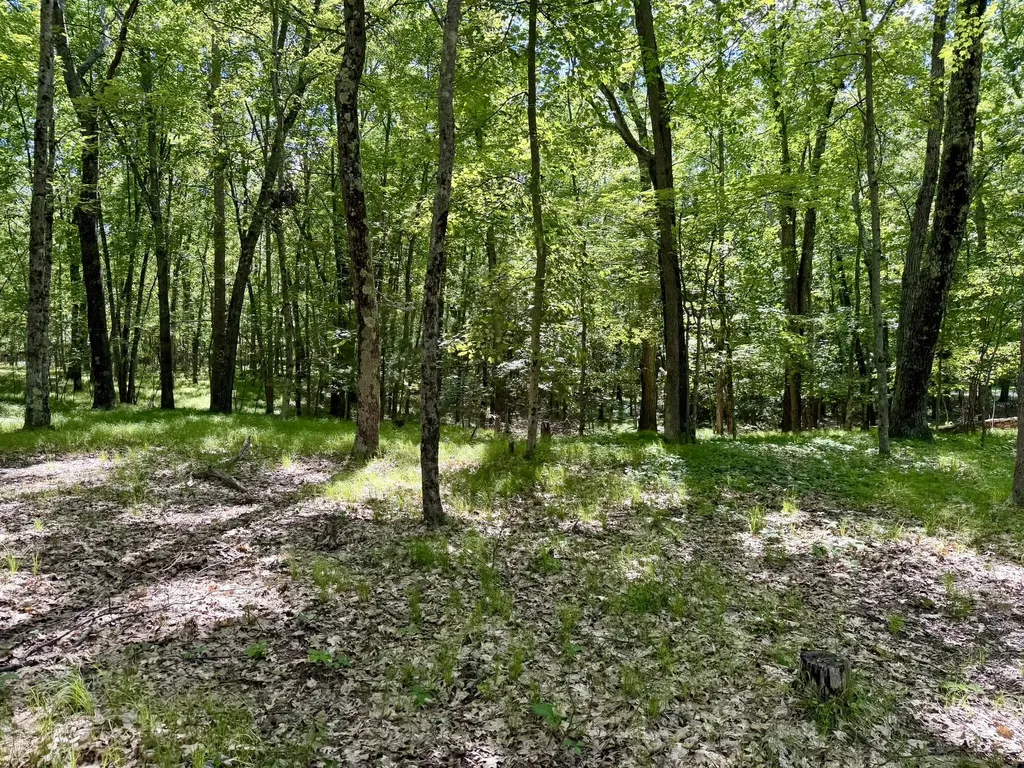 6922 W Twin Lake Drive Elk Township MI 49644