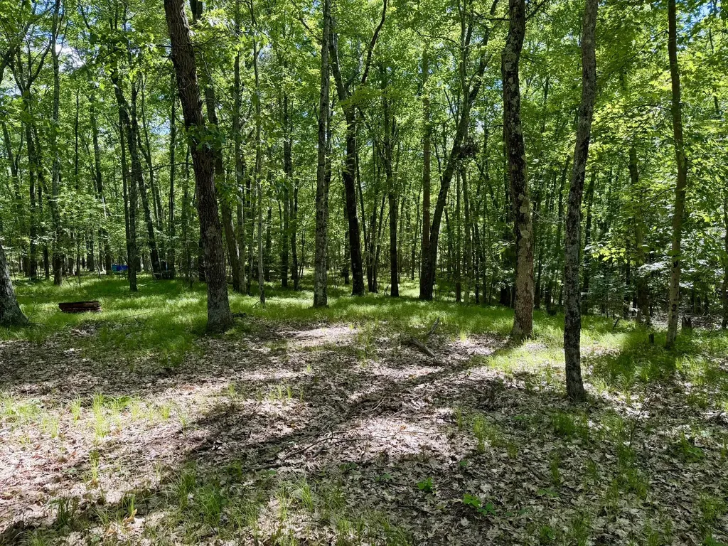 6922 W Twin Lake Drive Elk Township MI 49644