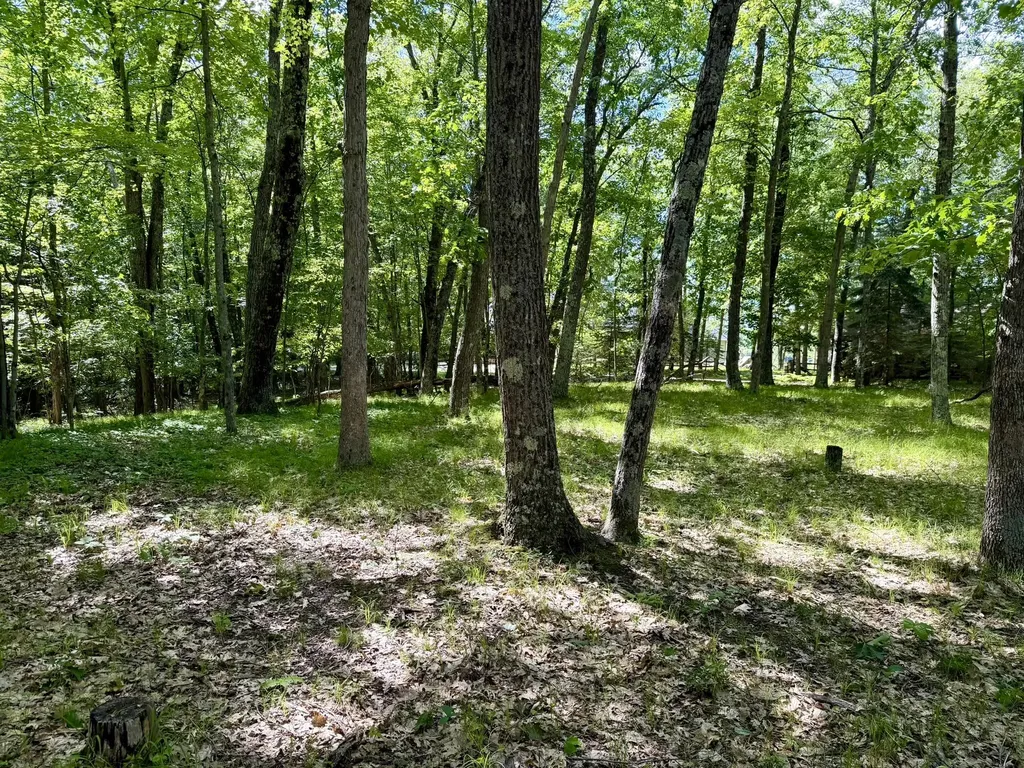 6922 W Twin Lake Drive Elk Township MI 49644