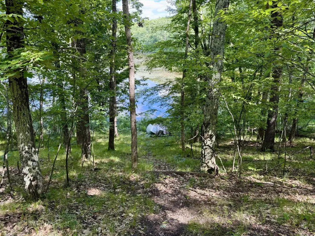 6922 W Twin Lake Drive Elk Township MI 49644