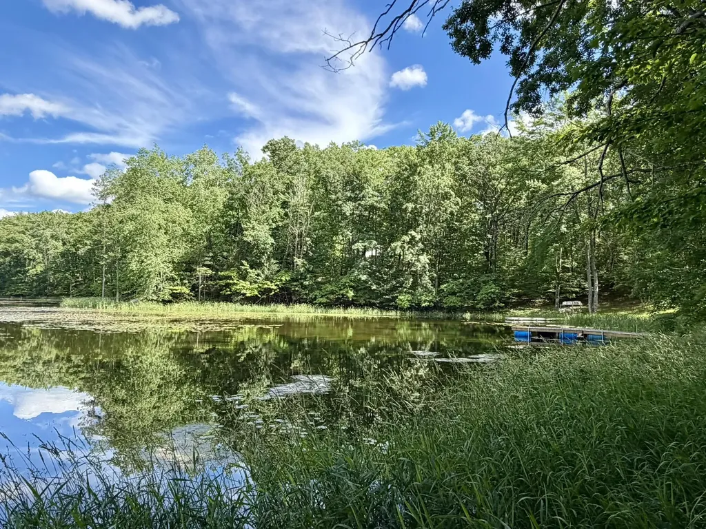 6922 W Twin Lake Drive Elk Township MI 49644