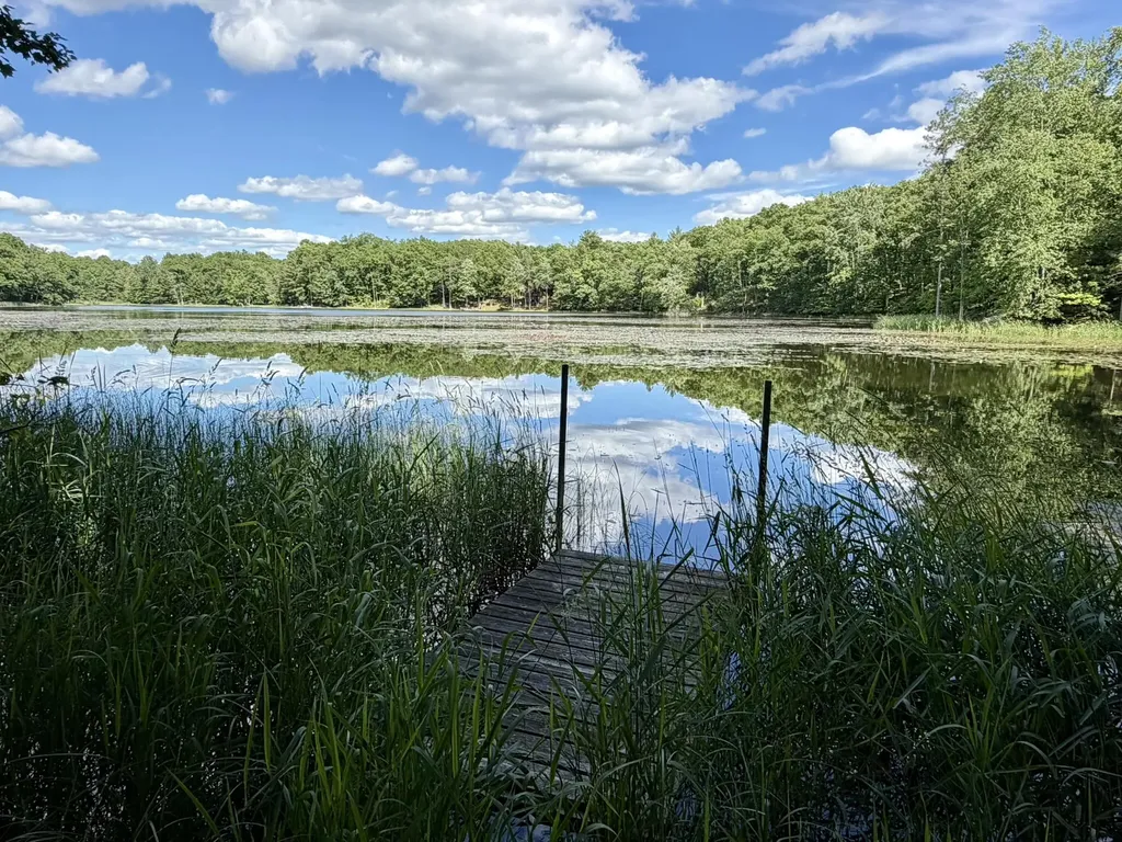 6922 W Twin Lake Drive Elk Township MI 49644
