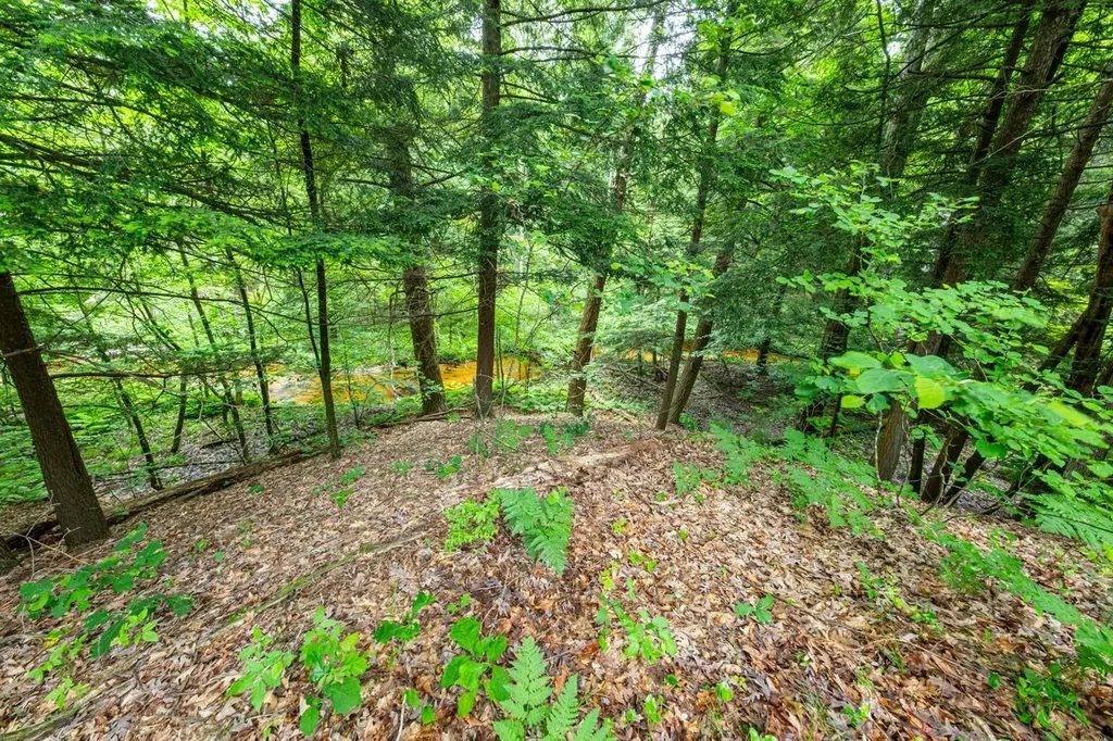 6068 S 142nd Avenue Otto Township MI 49452