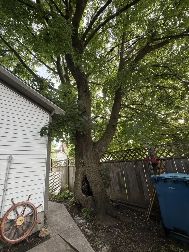 307 6th Street Manistee City MI 49660