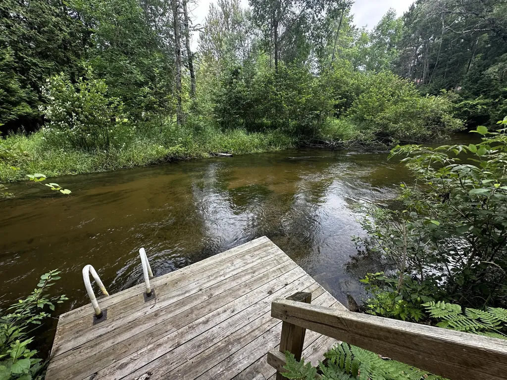 9629 N Kings Point Elk Township MI 49644