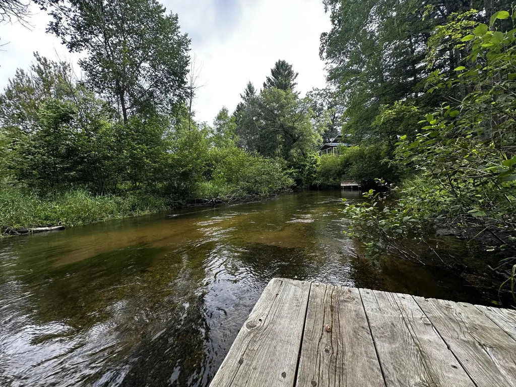 9629 N Kings Point Elk Township MI 49644