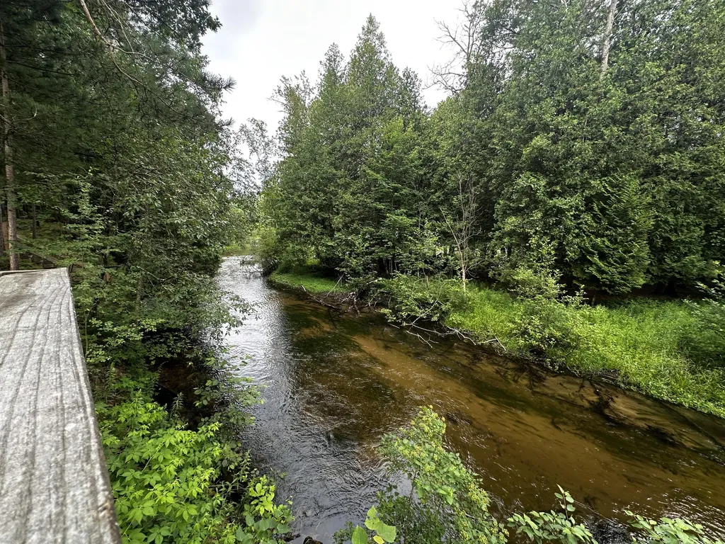 9629 N Kings Point Elk Township MI 49644