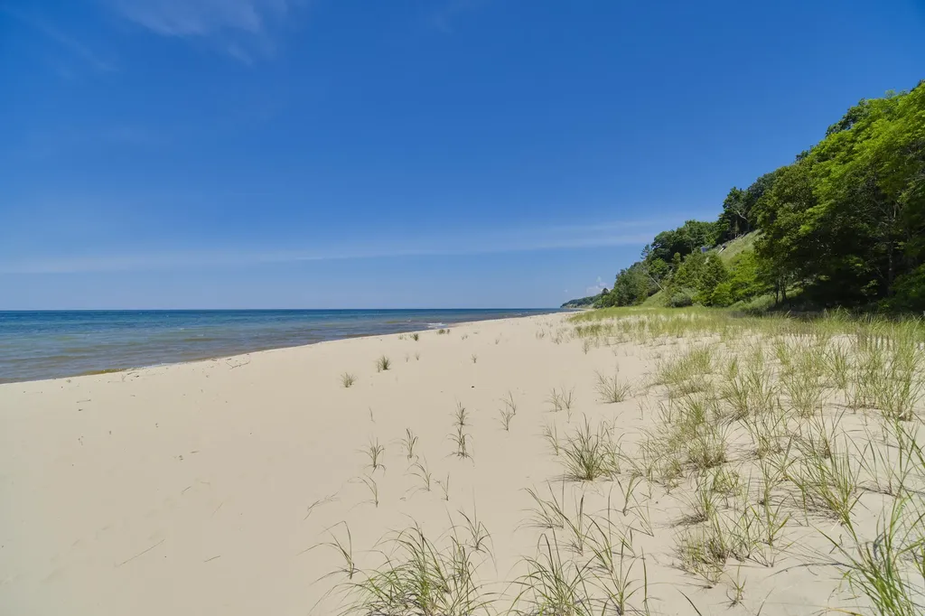 10777 Old Freesoil Road Grant Township MI 49660