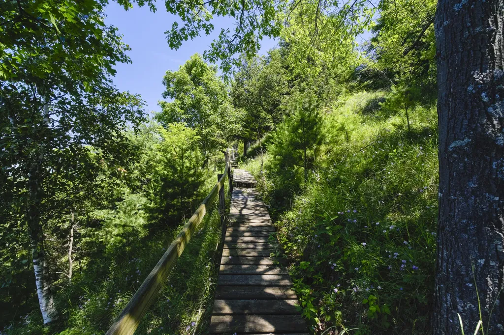 10777 Old Freesoil Road Grant Township MI 49660