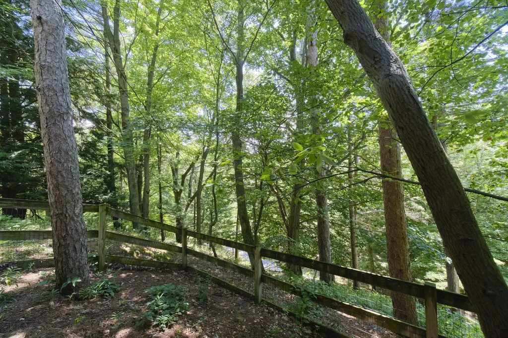 10777 Old Freesoil Road Grant Township MI 49660