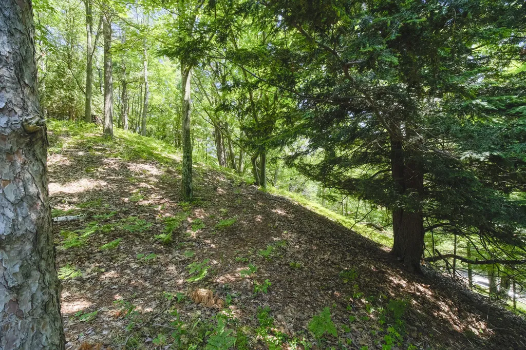 10777 Old Freesoil Road Grant Township MI 49660